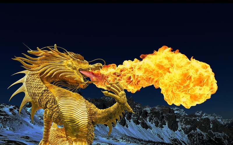 Dragon Fire Delights